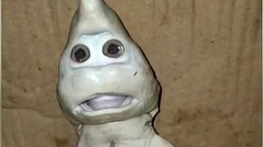Mutant balık insan yüzüyle doğmuş!