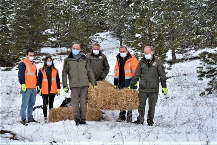 Kütahya’da yılkı atlarına yem desteği G1