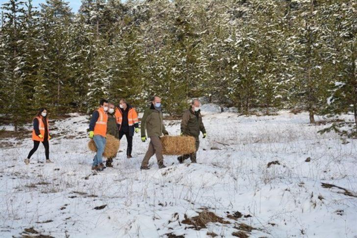 Kütahya’da yılkı atlarına yem desteği G2