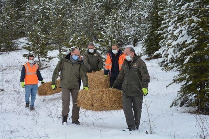 Kütahya’da yılkı atlarına yem desteği G3