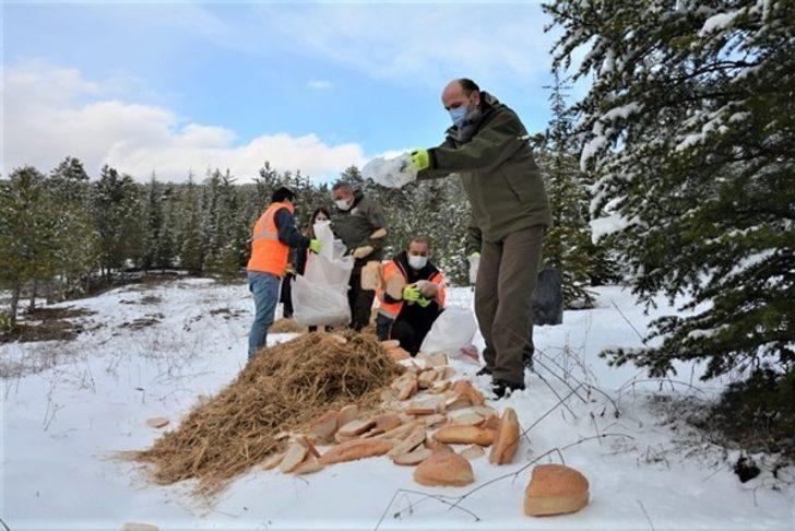Kütahya’da yılkı atlarına yem desteği G5