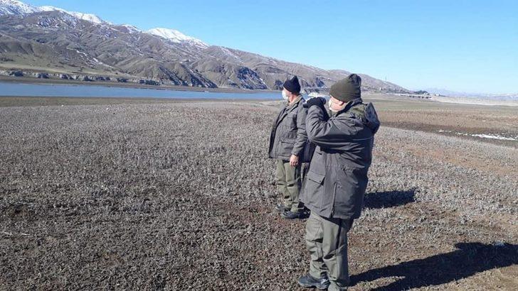 Elazığ’da  kaçak avda kullanılan meterisler yıkıldı G3
