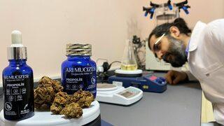 Propolise büyük ilgi! Kilosu araç değerinde ama yok satıyor