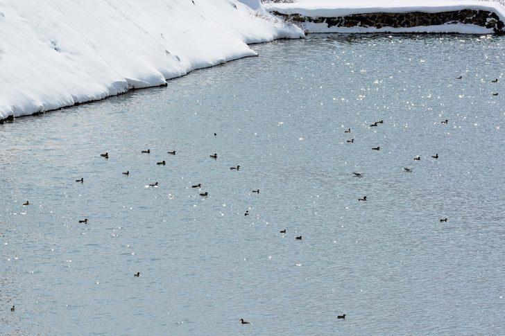 Doğa fotoğrafçısından örnek davranış G3
