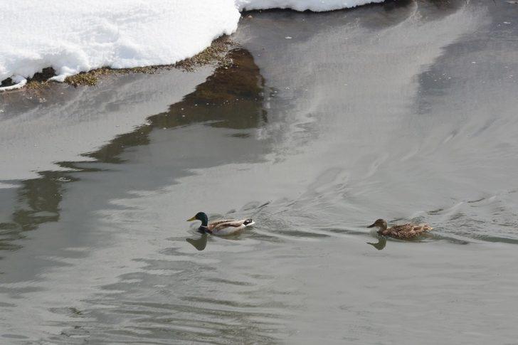 Doğa fotoğrafçısından örnek davranış G4