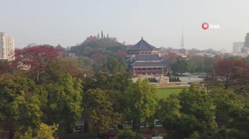 Çin’de 350 yıllık kapok ağacından kartpostallık görüntüler