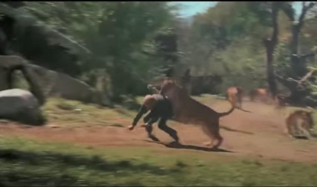 Şimdiye kadar yapılmış en tehlikeli filmde oyuncular dahil 80 kişi yaralandı