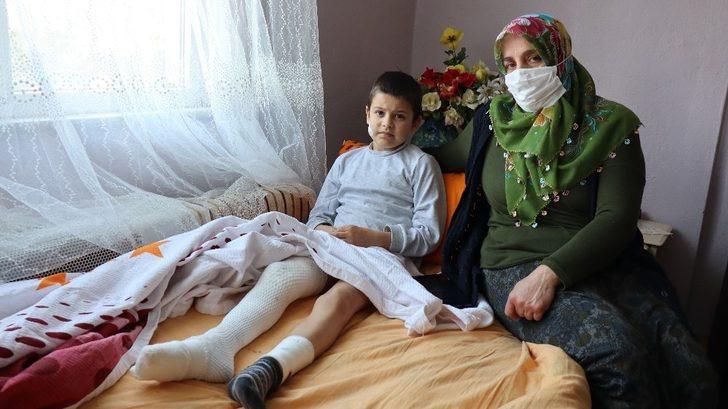 Küçük çocuk 15 dikişle kurtulduğu pitbull dehşetini böyle anlattı: G4