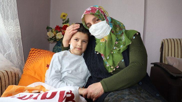 Küçük çocuk 15 dikişle kurtulduğu pitbull dehşetini böyle anlattı: G5