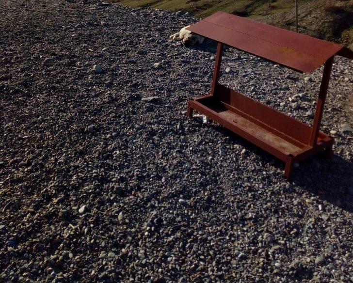 Mehmetçikten anlamlı davranış: Hayvanlar için yemlik yaptılar G3