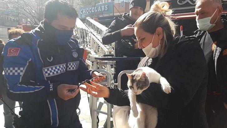 Köpekten korkup çıktığı ağaçtan itfaiye indirdi G2