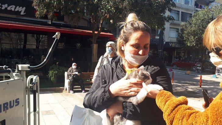 Köpekten korkup çıktığı ağaçtan itfaiye indirdi G3