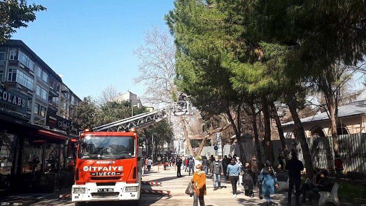 Köpekten korkup çıktığı ağaçtan itfaiye indirdi G4