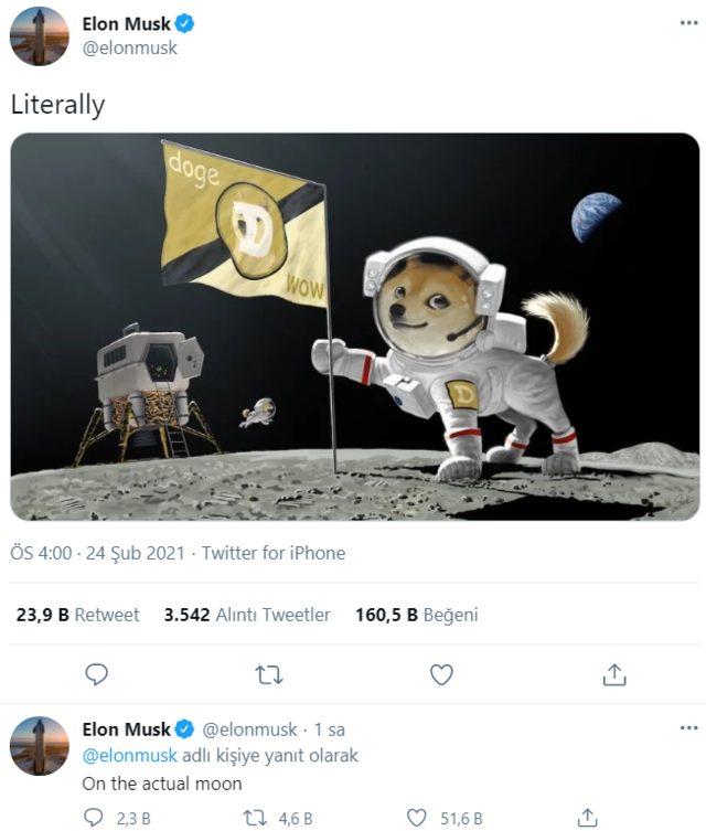 New Share For Dogecoin From Elon Musk This Time He Planted A Flag On The Moon The Right Address For Financial News