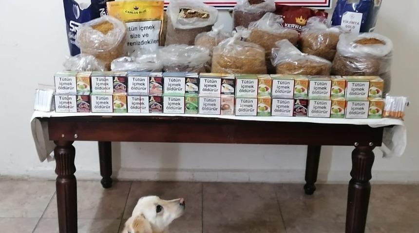 Erzurum’da kaçak sigara operasyonu