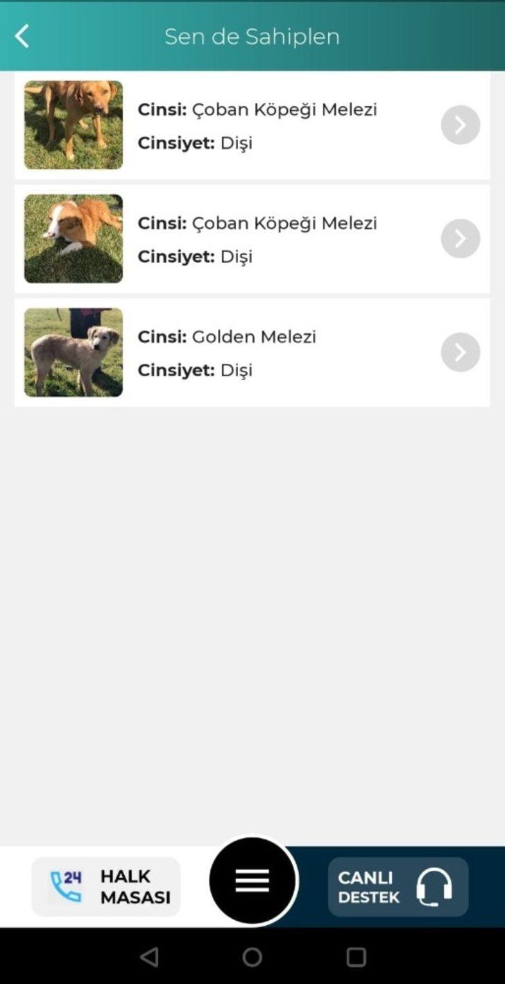 Odunpazarı’ndan hayatı kolaylaştıracak uygulama G4