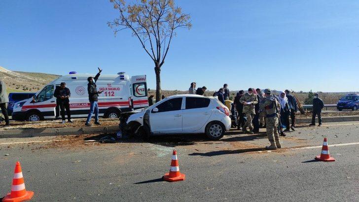 Şanlıurfa’da otomobil ağaca çarptı: 2 yaralı G2