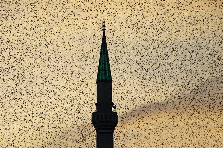 Manisa'da sığırcık kuşlarının gökyüzünde dansı ilgi çekti G1