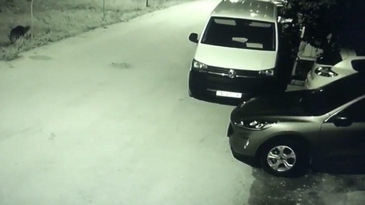 Park halindeki otomobile böyle çarptı G4