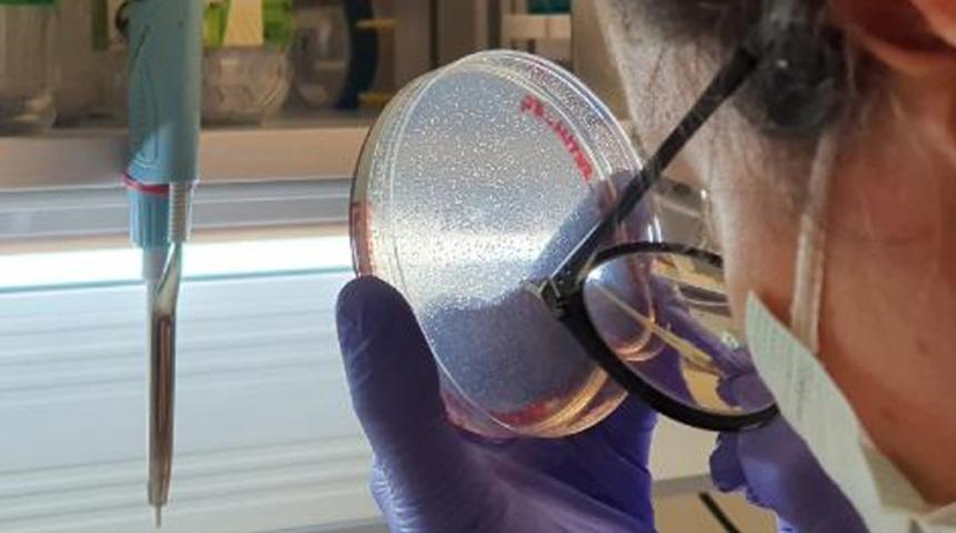 Aşıda 'devrim' yaratacak teknoloji! Boğaziçi Üniversitesi geliştirdi