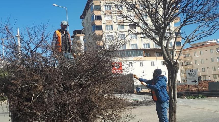Cadde ve yollardaki ağa&ccedil;ların budanmaya devam ediliyor