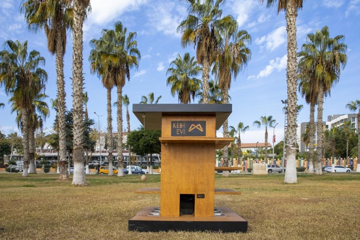 B&uuml;y&uuml;kşehir Belediyesi, sahilde 10 noktaya kedi evi yerleştirdi