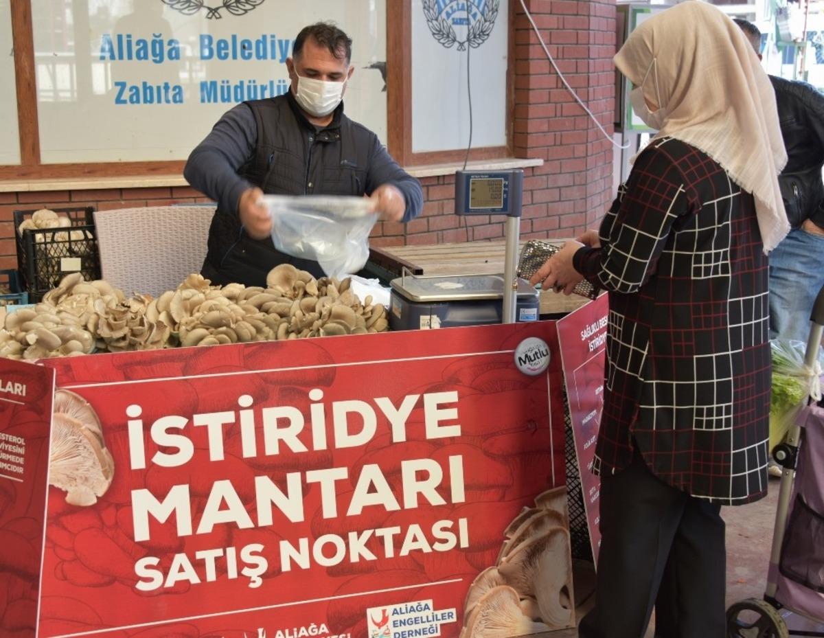 Aliağa&rsquo;da istiridye mantarlarının ilk mahsulleri satışa sunuldu