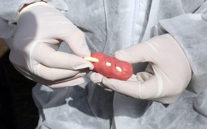 Van Büyükşehir Belediyesi insan ve hayvan sağlığı için sahada G2