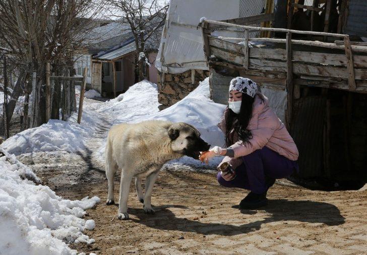 Van Büyükşehir Belediyesi insan ve hayvan sağlığı için sahada G3