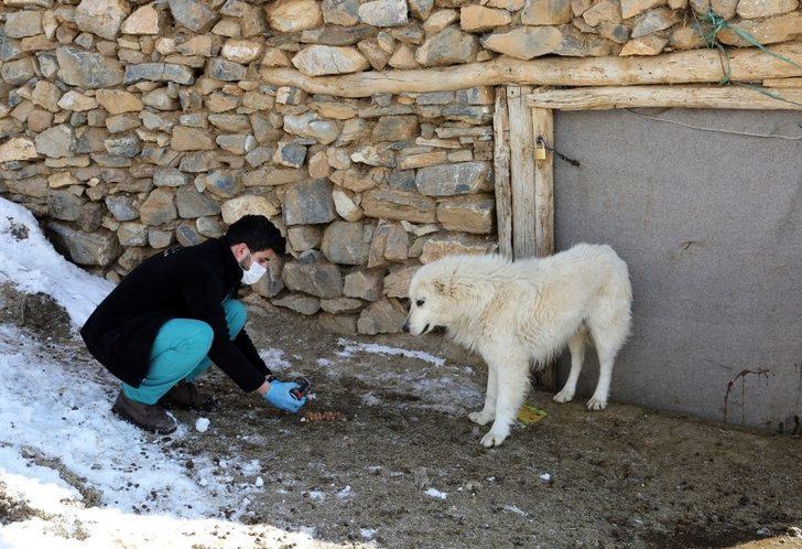 Van Büyükşehir Belediyesi insan ve hayvan sağlığı için sahada G5