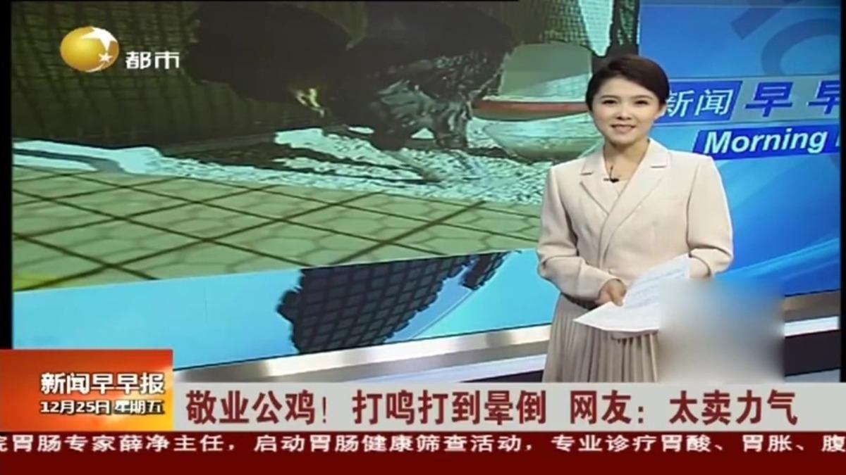 &Ouml;terken bayılan &rsquo;Denizli Horozu&rsquo;nun &uuml;n&uuml; T&uuml;rkiye&rsquo;yi aştı