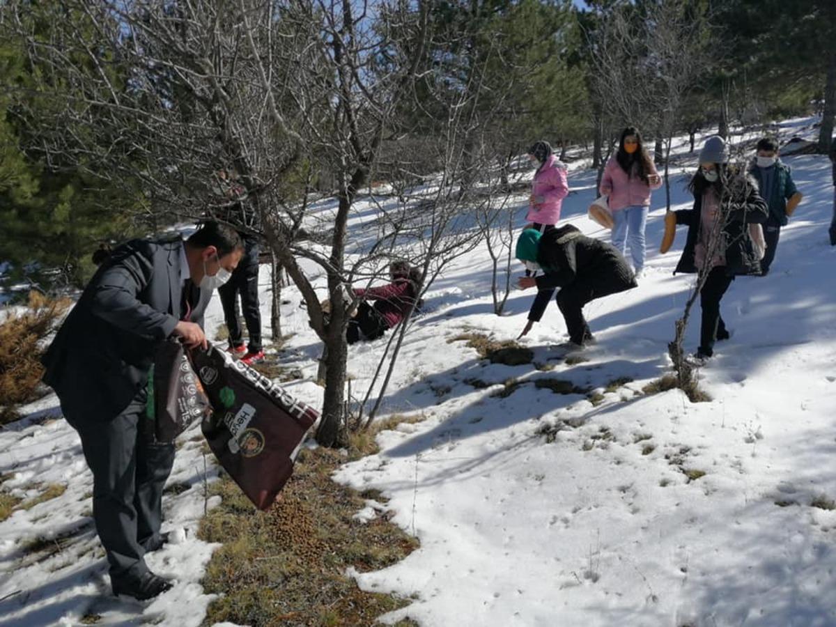 &Ccedil;i&ccedil;ekdağı&rsquo;nda kuşlar i&ccedil;in dağlara yem bırakıldı