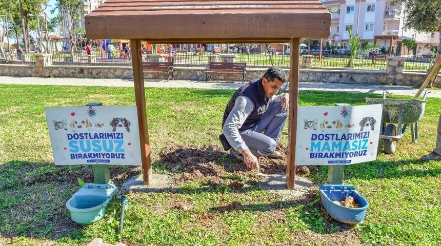 Sokak hayvanlarının mama ve su kaplarının bulunduğu alana gölgelik
