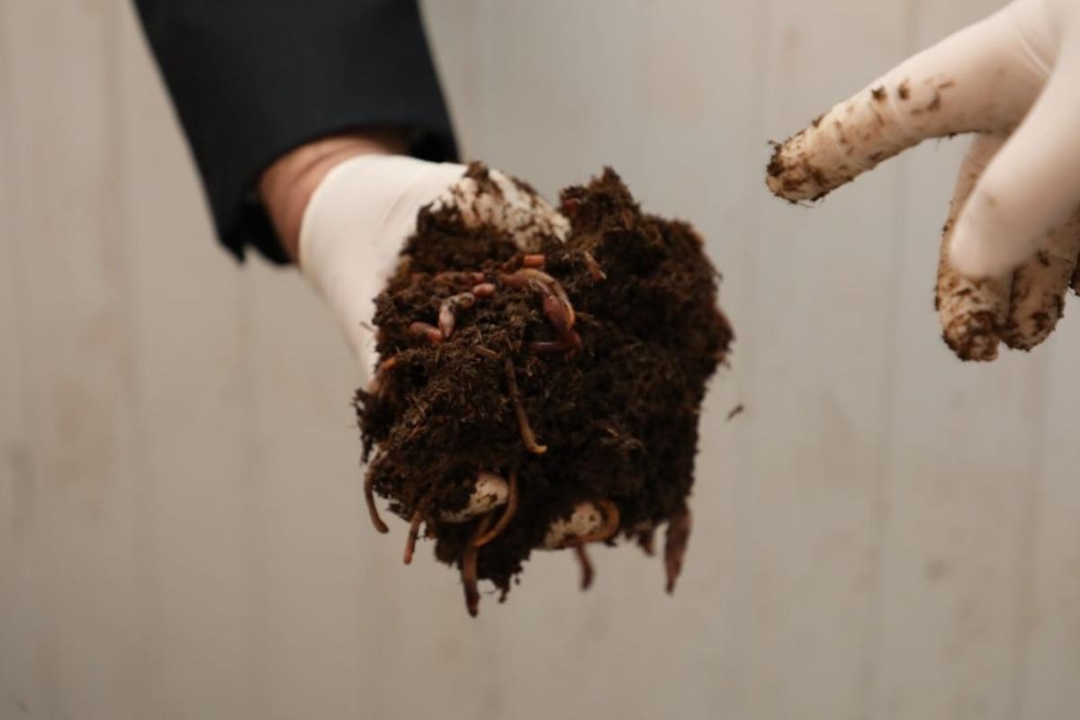 Ekonomiye katkı &ccedil;evreye fayda sağlıyor, 100 ton g&uuml;bre &uuml;retiliyor