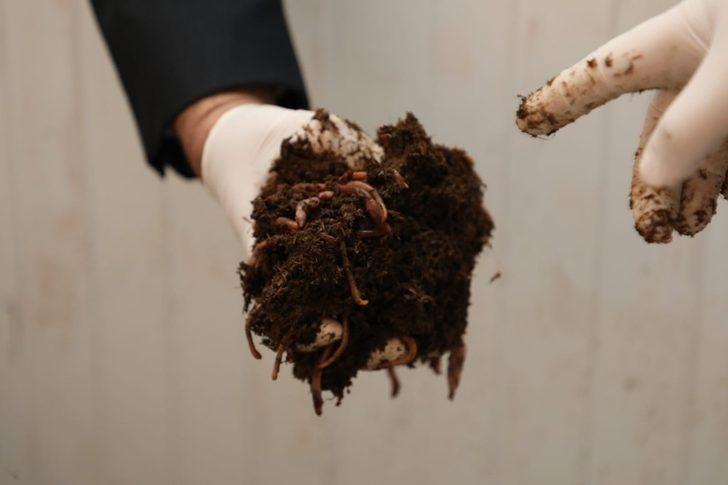 Ekonomiye katkı çevreye fayda sağlıyor, 100 ton gübre üretiliyor G1