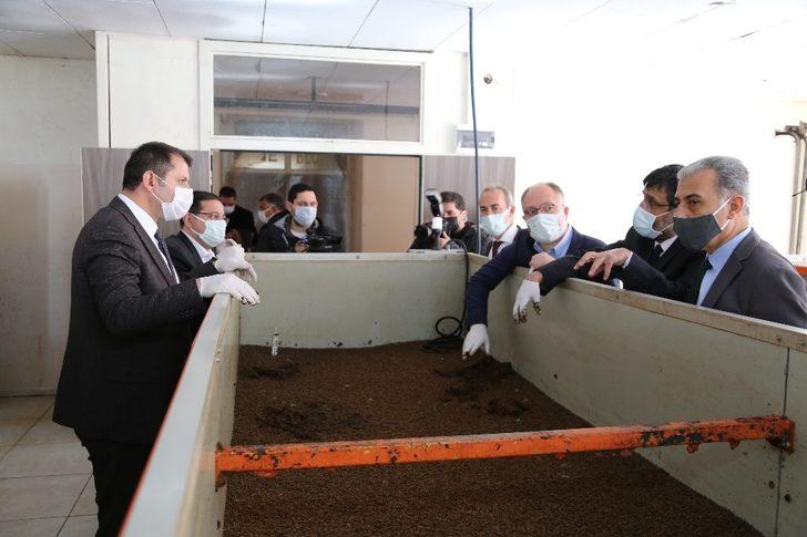 Ekonomiye katkı çevreye fayda sağlıyor, 100 ton gübre üretiliyor G3