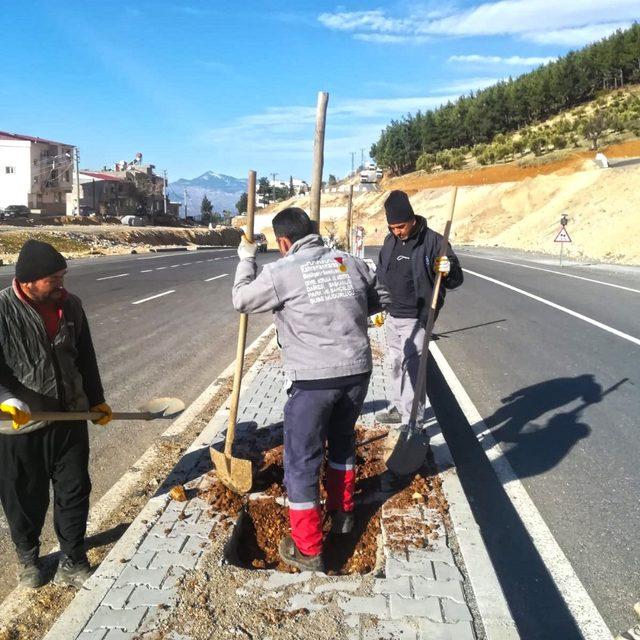 Kahramanmaraş’ta bin 100 fidan toprakla buluştu