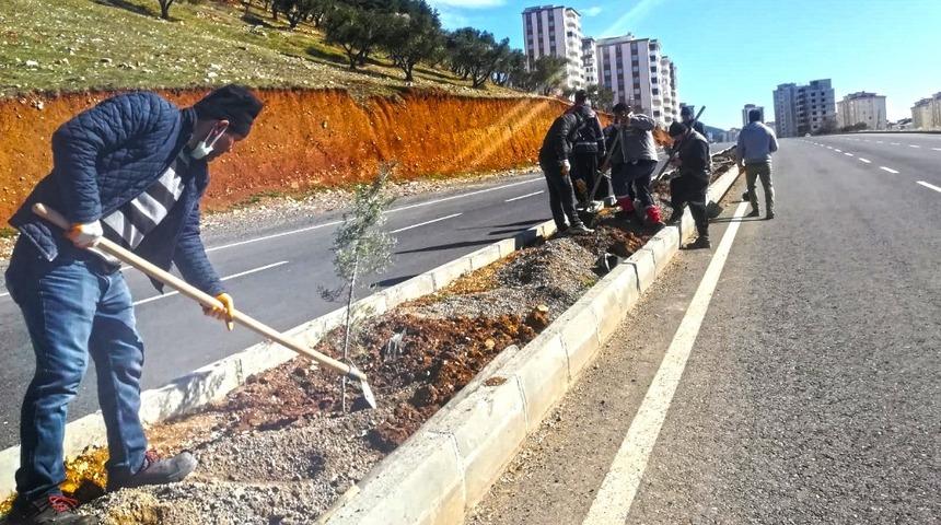 Kahramanmaraş&rsquo;ta bin 100 fidan toprakla buluştu