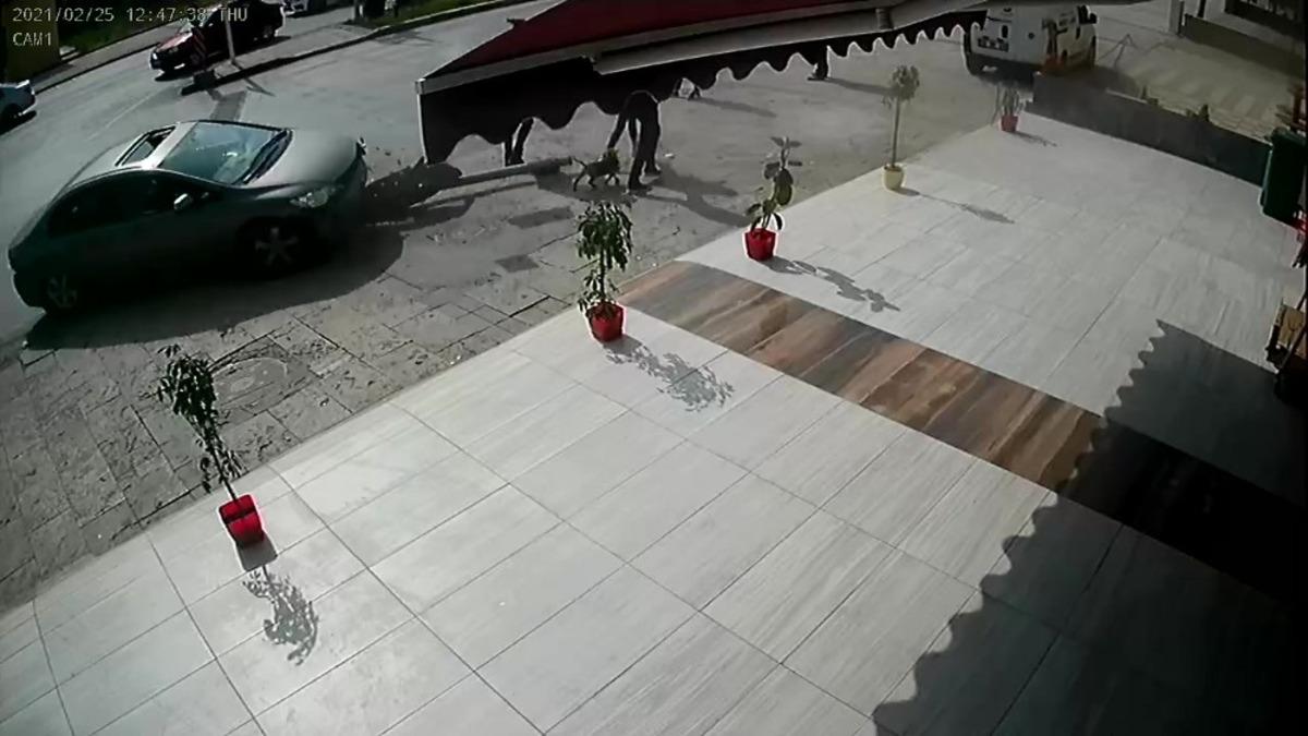 Fren yerine gaza basan kadın s&uuml;r&uuml;c&uuml; &ouml;nce trafik ışığını ardından 3 yayayı ezdi