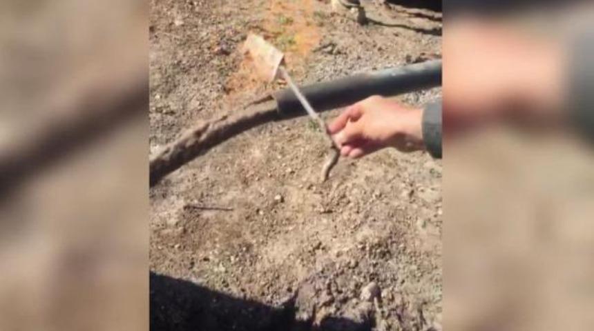 Şaşkına çeviren görüntü! Yetkililerden yardım istediler