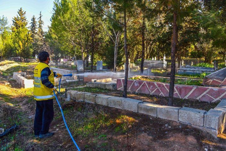 Ceylanpınar ilçe genelinde ilaçlama çalışmalarına başlandı G2
