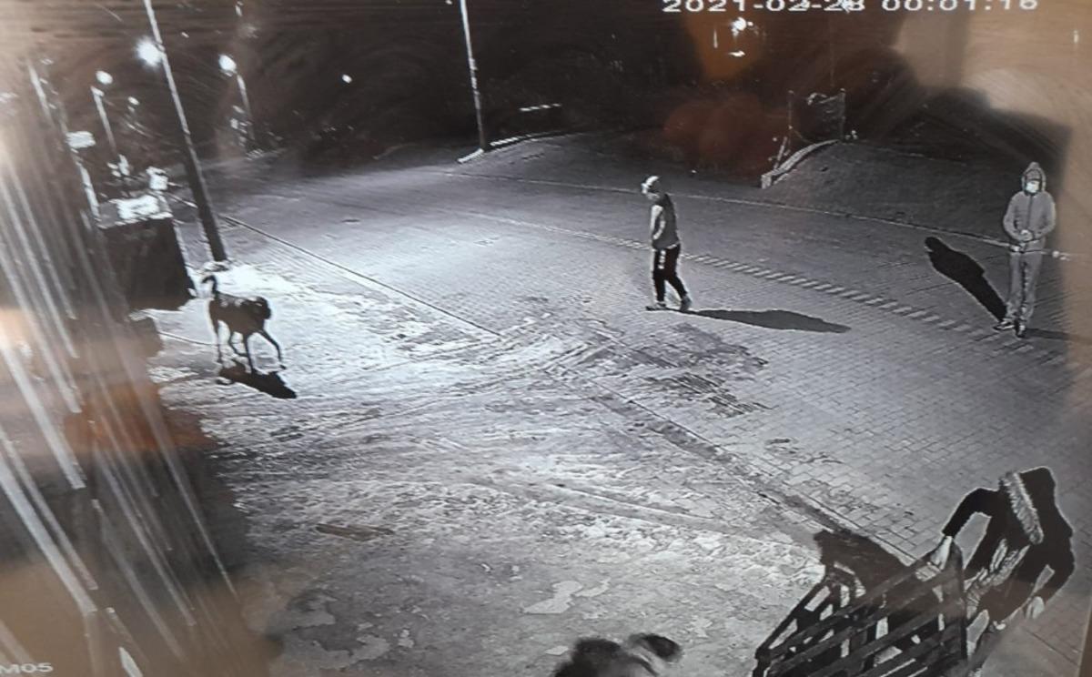 K&ouml;peğin &ccedil;alınma anı saniye saniye kameraya yansıdı