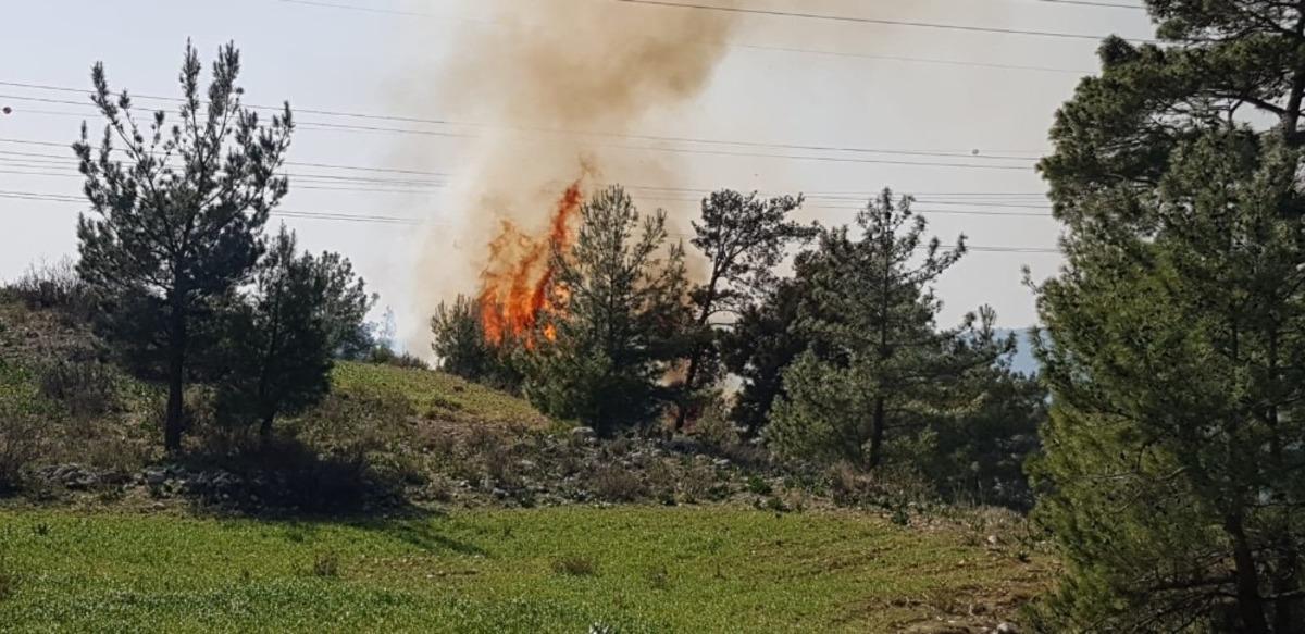 Manavgat&rsquo;ta orman yangını