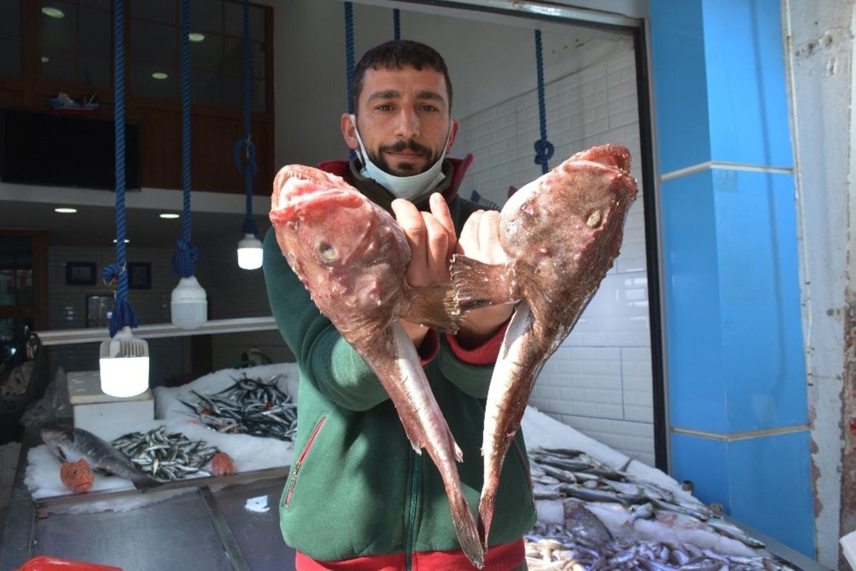 G&ouml;renleri hem korkuttu hem  şaşırttı