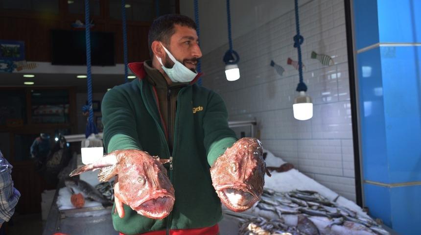 Fener balığını görenler önce korktu, sonra şaşırdı