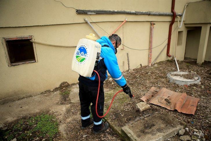 Vektörlerle mücadele devam ediyor G3