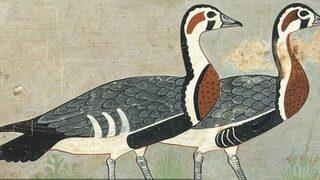 Antik Mısır’ın Mona Lisası binlerce yıl önce soyu tükenen hayvanı ortaya çıkardı!