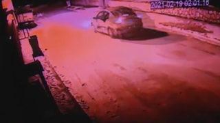 Otomobille köpeğin üstünden geçip, konteynere attılar