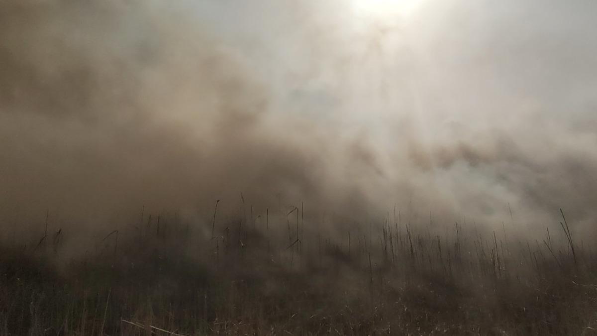Samandağ&rsquo;da sazlık alanda yangın