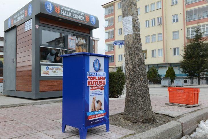 Bayat ekmekler sokak hayvanlarına mama olacak G2